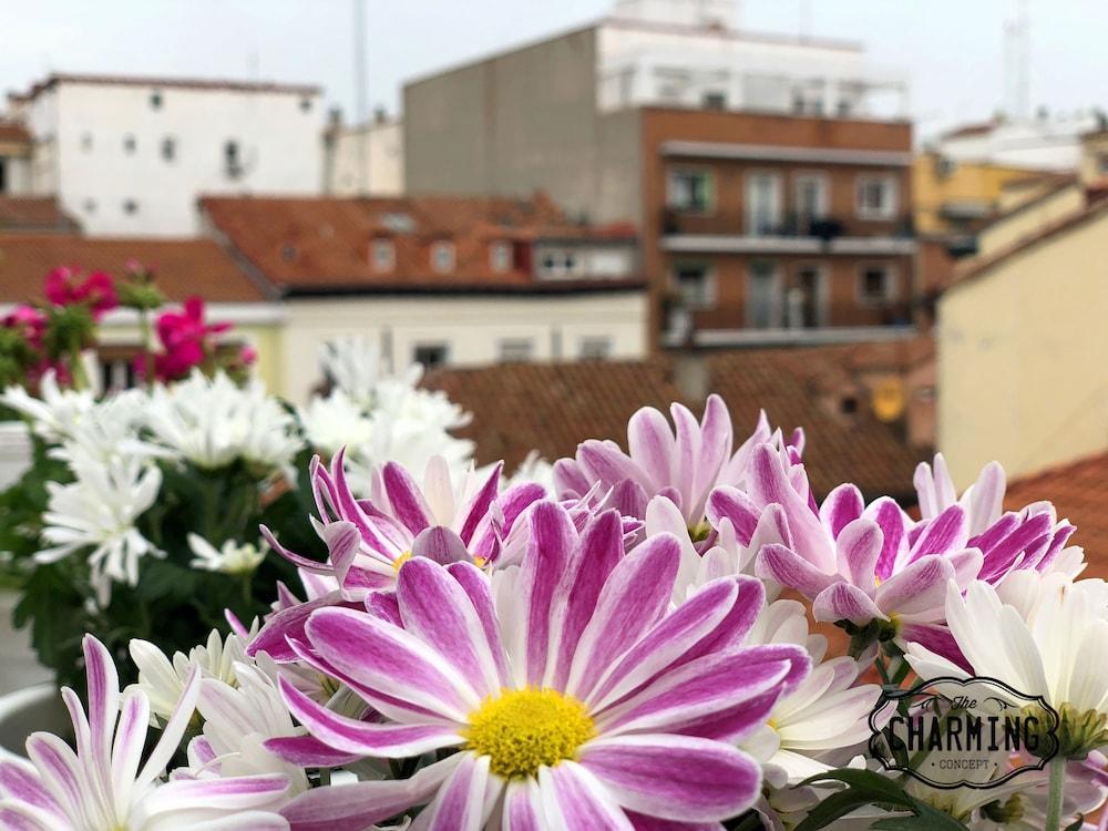 Appartement Charming Oasis In The Centre Of Madrid Extérieur photo